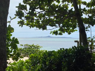 【総合】沖縄【作ったさ～】