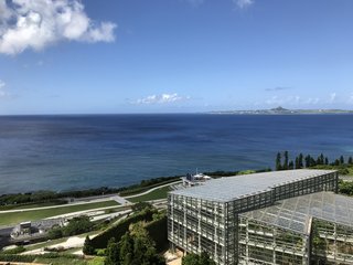 【総合】沖縄【作ったさ～】