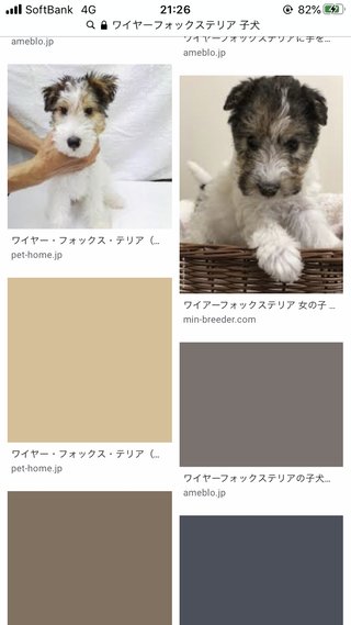 iPhoneソフトバンク