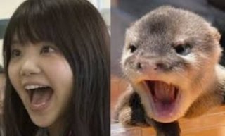 【コメント全文あり】いきものがかり吉岡聖恵が結婚　一般男性と