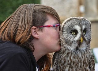 【衝撃】トトロの本名判明！ なんと全3匹の名前も判明 