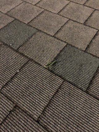 駅で旦那様の帰りを待ってたよ