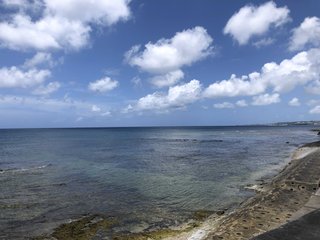 【総合】沖縄【作ったさ～】