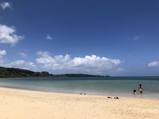 【総合】沖縄【作ったさ～】