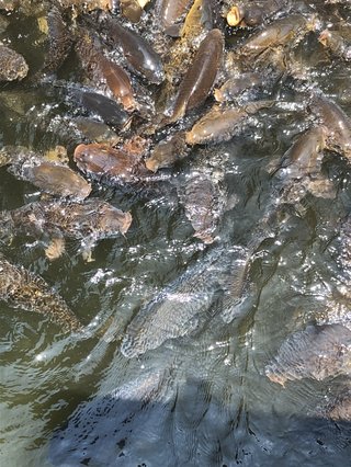 貧乏過ぎて子供に泣かれました