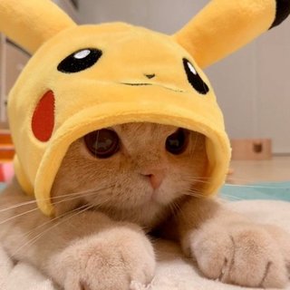 拾い画貼って