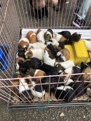 &#x{11:F8E2};なんでもいｰから&#x{11:F8E2};