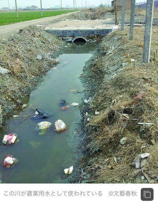 中国産避けてるけどこれだけは買っちゃう