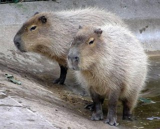 【モニタリング】TBS