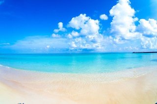 【総合】沖縄【作ったさ～】