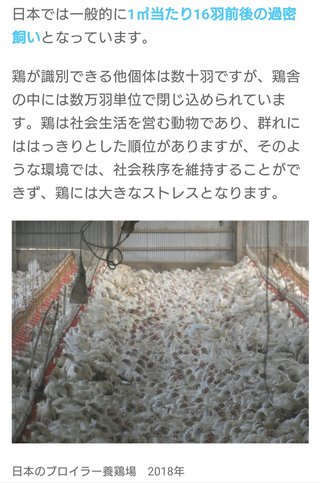 タイの鶏肉怖い。。