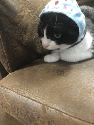 &#x{11:F8E2};なんでもいｰから&#x{11:F8E2};