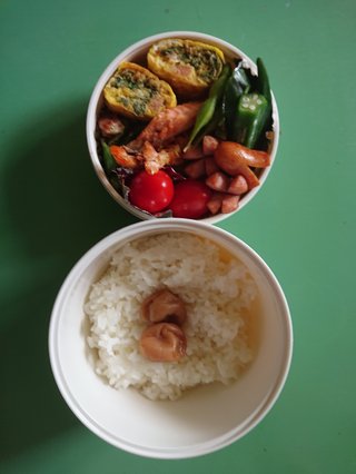 旦那の作ったお弁当(朝から喧嘩)