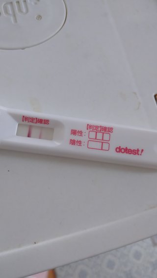 【妊娠検査薬フライング判定】写真はこちら【専用】