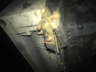 どうしたらいい？至急教えて。