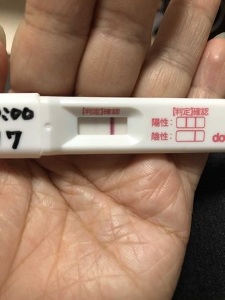 【妊娠検査薬フライング判定】写真はこちら【専用】