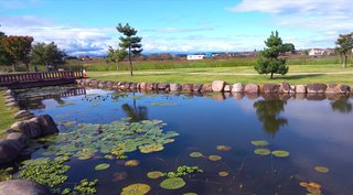 &#x{11:F8E2};なんでもいｰから&#x{11:F8E2};