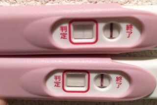 【妊娠検査薬フライング判定】写真はこちら【専用】