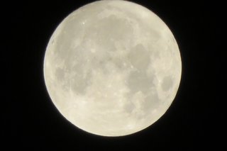 今夜は中秋の名月