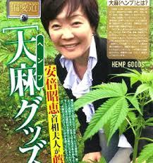 東海大・硬式野球部員が大麻使用　安倍晋三・昭恵夫妻との関係は