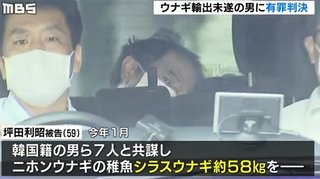 韓国人と共謀しウナギ稚魚を海外へ持ち出そうとした男に有罪判決「執行猶予5年､罰金200万円」