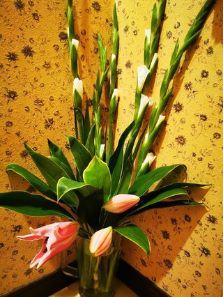 &#x{11:F8E2};なんでもいｰから&#x{11:F8E2};