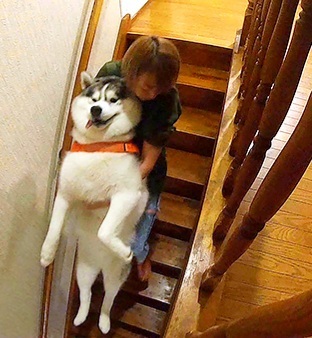 【おはよう】めざましテレビ【総合】