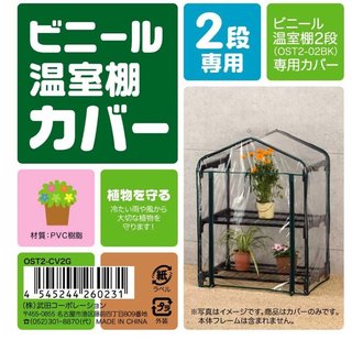 鳥好きさん、いませんか？