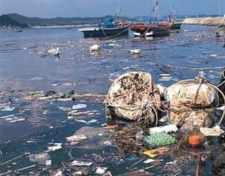 給食の｢のりサラダ｣で保育園児34人が食中毒【岐阜県】