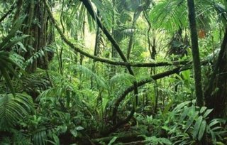 アマゾンで購入したモバイルバッテリーが発火し家が火事に。中国メーカーは逃亡。アマゾン「知らん」