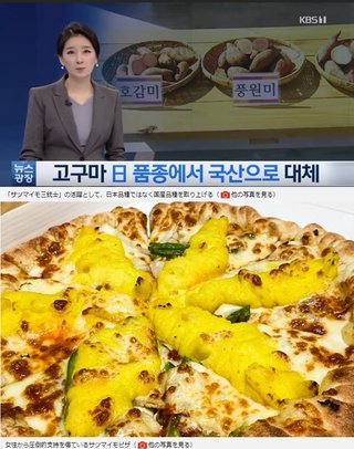 韓国での｢日本産農作物｣無断栽培･パクリの実態 ロイヤリティ支払わず｢自国産｣と偽装してきたツケ