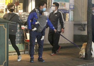 進次郎＆滝川クリステル　夜の散歩で愛犬オシッコ放置の一部始終