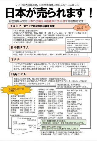大至急！日本が無くなります。日中韓RCEP（アールセップ）について
