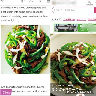 ワナビ 泰葉の反省だ！