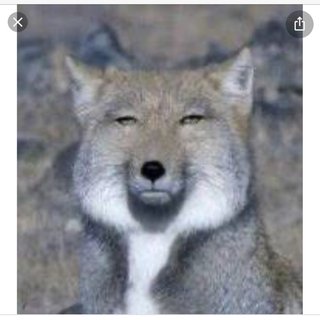 鬼滅の刃､韓国では｢起源は韓国なのではないか｣と指摘 