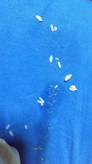 【今イライラしてる人】休憩室【おいで】