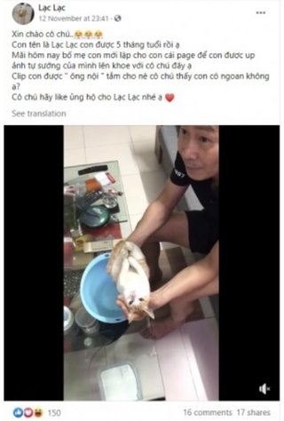 赤ちゃんの沐浴を息子夫婦に教える父親　モデルになった猫が完璧すぎて大人気に（ベトナム）