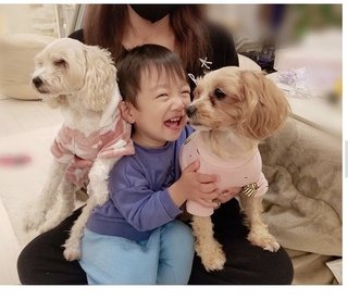 辻希美【アメブロ】