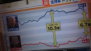 アメリカ国籍持ってたら、大統領選どっちに投票する？