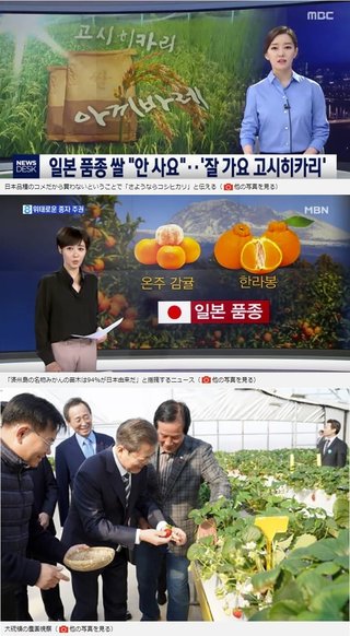 韓国での｢日本産農作物｣無断栽培･パクリの実態 ロイヤリティ支払わず｢自国産｣と偽装してきたツケ