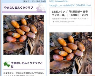 ワナビ 泰葉の反省だ！