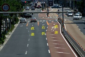 めちゃくちゃバカでも免許とれるかな