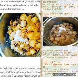 ワナビ 泰葉の反省だ！