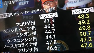 アメリカ国籍持ってたら、大統領選どっちに投票する？