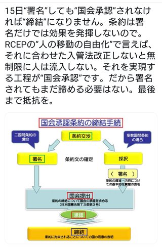 大至急！日本が無くなります。日中韓RCEP（アールセップ）について