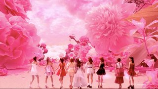 虹プロジェクト