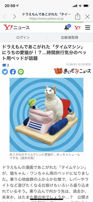猫について何でもどうぞ【ねこ総合】