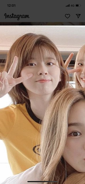 虹プロジェクト