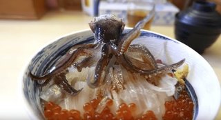 日本人による残酷な「踊り食い」に世界中から非難殺到！