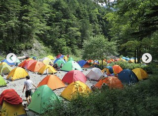 2020年 恐るべき「人喰いクマ」の衝撃。